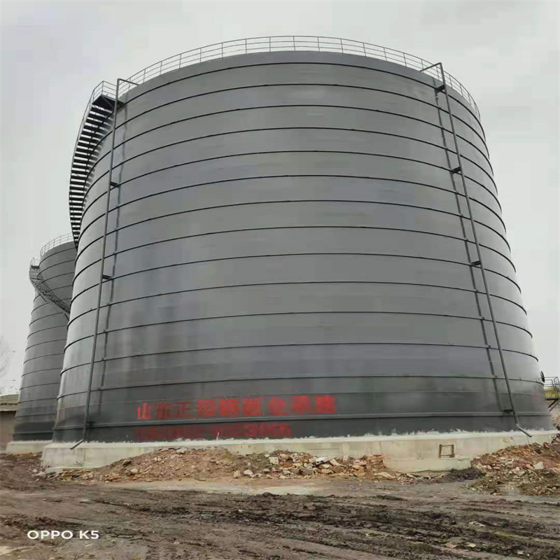 临城3万吨大型钢板库