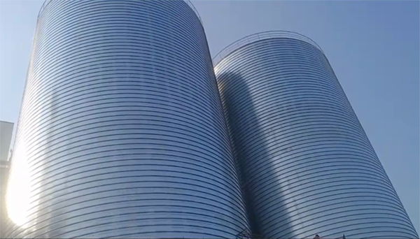 临城2座混凝土高架卷板仓